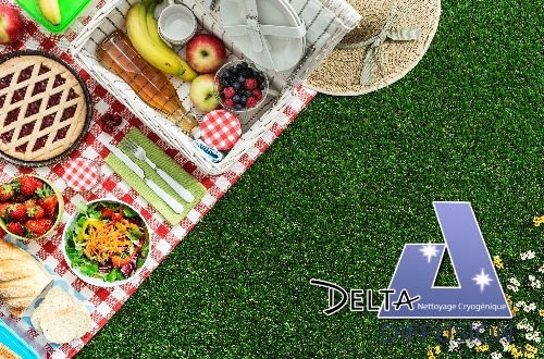 Picknick-Konservierung mit Trockeneis