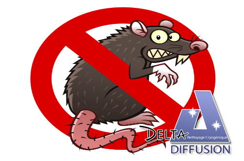 Trockeneis beseitigt Ratten