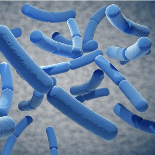 L’effet bactériostatique du nettoyage cryogénique : de quoi s’agit-il réellement ?