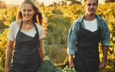 Glace Carbonique : une révolution écologique dans la lutte contre les nuisibles agricoles