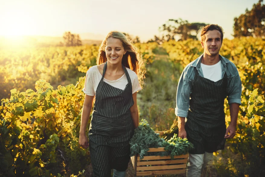 Agricultura orgânica