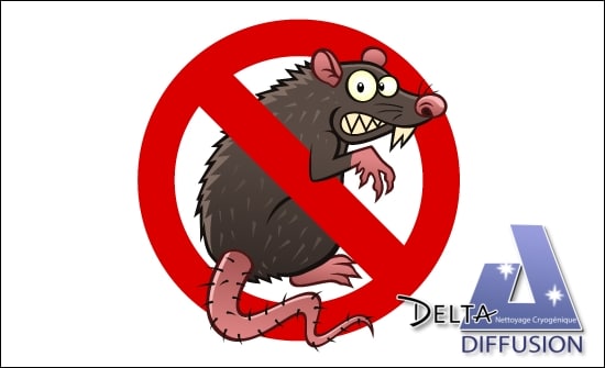 Illustration d’un rat en position menaçante avec une croix rouge en cercle, logo Delta Diffusion à droite.