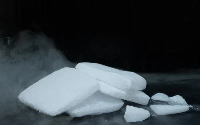 Conserver les aliments avec la glace carbonique : guide pratique